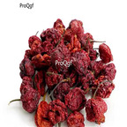 19usd Ngryise 3000Pcs A Set chilli wizards seed