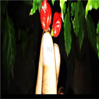 19usd Ngryise 3000Pcs A Set dragon's breath pepper seed