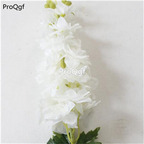 19usd Ngryise 8000Pcs A Set Delphinium consolida zhenzhumei seed
