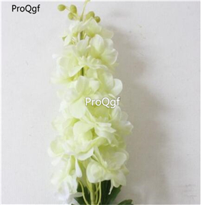 19usd Ngryise 8000Pcs A Set Delphinium consolida zhenzhumei seed