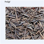 19usd Ngryise 9000Pcs A Set double petal cosmos white  seed