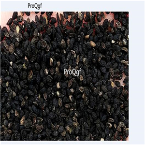 19usd Ngryise 9000Pcs A Set blue sky series Nigella damascena  seed