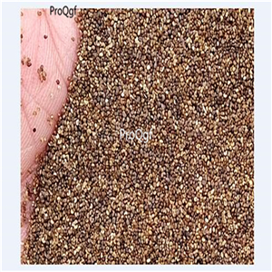 19usd Ngryise 9000Pcs A Set blue angel poppy seed