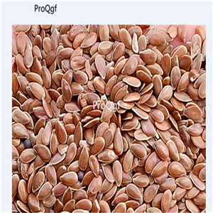 19usd Ngryise 9000Pcs A Set Cupflower yama seed