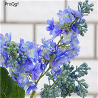 19usd Ngryise 6000Pcs A Set Silk Lilac seed
