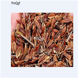 19usd Ngryise 6000Pcs A Set Silk Lilac seed