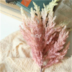 19usd Ngryise 8000Pcs A Set Smog Frost Grass seed