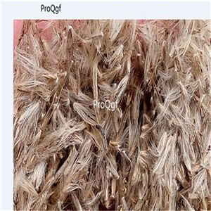 19usd Ngryise 8000Pcs A Set Smog Frost Grass seed