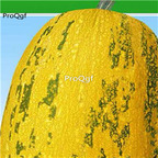 19usd Ngryise 500Pcs A Set gold green stripe Lagenaria siceraria seed