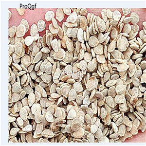19usd Ngryise 6000Pcs A Set yellow cherry tomato seed