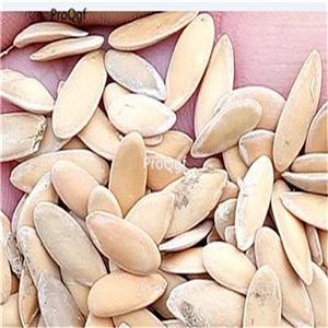 19usd Ngryise 3000Pcs A Set yangjiaomitiangua sweet melon seed