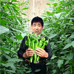 19usd Ngryise 3000Pcs A Set giant pepper seed