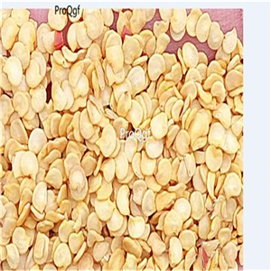 19usd Ngryise 3000Pcs A Set giant pepper seed