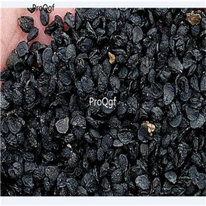 19usd Ngryise 9000Pcs A Set allium tuberosum garlic  seed