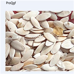 19usd Ngryise 3000Pcs A Set old cucumber seed