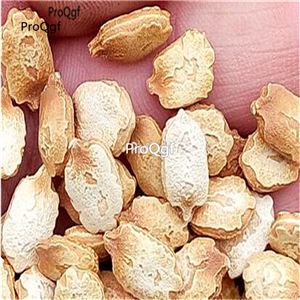 19usd Ngryise 500Pcs A Set gold bitter melon seed