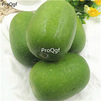 19usd Ngryise 500Pcs A Set Benincasa hispida wax gourd seed