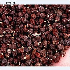 19usd Ngryise 500Pcs  A Set rare double color iris seed