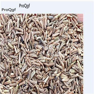 19usd Ngryise 20000Pcs A Set purple white stripe Verbena hybrida  seed