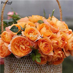 19usd Ngryise 2000Pcs A Set orange color peony seed