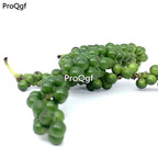 19usd Ngryise 500Pcs A Set green Piper nigrum seed