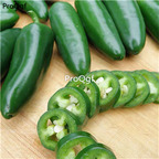 19usd Ngryise 5000Pcs A Set jalapenp fiery pepper seed