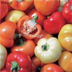 19usd Ngryise 5000Pcs A Set alma paprika pepper seed