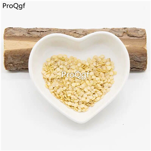 19usd Ngryise 5000Pcs A Set jamaica yellow pepper seed