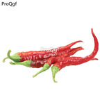 19usd Ngryise 5000Pcs A Set cayenne large red thick pepper seed