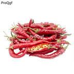 19usd Ngryise 5000Pcs A Set portugal delicious pepper seed