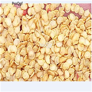 19usd Ngryise 5000Pcs A Set portugal delicious pepper seed