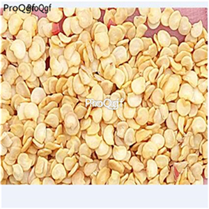 19usd Ngryise 5000Pcs A Set sweet dasti giallo pepper seed