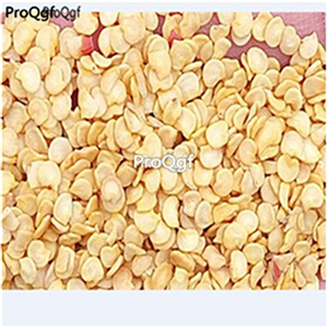 19usd Ngryise 5000Pcs A Set sweet color spectrum pepper seed