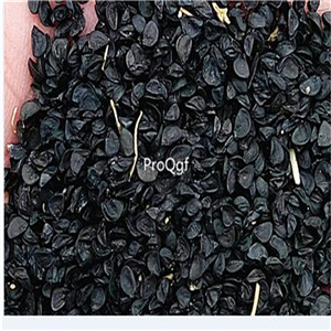 19usd Ngryise 20000Pcs A Set white lisbon onion seed