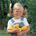19usd Ngryise 500Pcs A Set small gold pumpkin seed