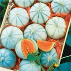19usd Ngryise 3000Pcs A Set french charonde cantaloupe  seed
