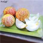 19usd Ngryise 3000Pcs A Set tiger sweet melon seed