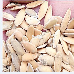 19usd Ngryise 3000Pcs A Set tiger sweet melon seed