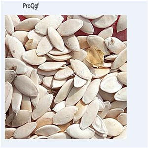 19usd Ngryise 3000Pcs A Set crystal lemon cucumber seed