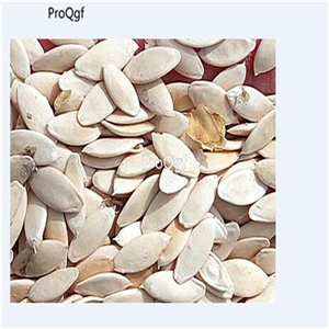 19usd Ngryise 3000Pcs A Set crystal apple cucumber seed