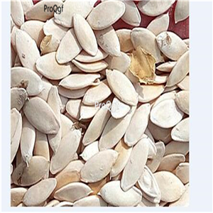 19usd Ngryise 3000Pcs A Set white wonder cucumber seed