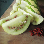 19usd Ngryise 500Pcs A Set red grapefruit watermelon seed