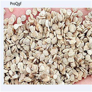 19usd Ngryise 6000Pcs A Set lldi beauty tomato seed