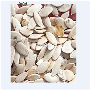19usd Ngryise 3000Pcs A Set patio snacker cucumber seed
