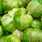 19usd Ngryise 3000Pcs A Set mexican green lantern fruit seed