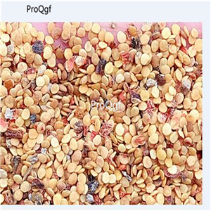 19usd Ngryise 3000Pcs A Set mexican green lantern fruit seed