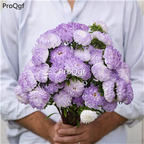 19usd Ngryise 6000Pcs A Set aster duchess blue ice seed