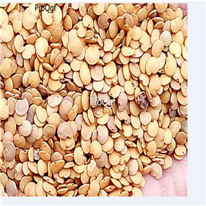 19usd Ngryise 6000Pcs A Set casper eggplant seed