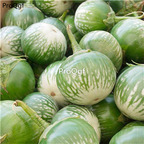 19usd Ngryise 6000Pcs A Set lao striped aubergine eggplant seed