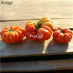 19usd Ngryise 6000Pcs A Set florida beefsteak series tomato seed